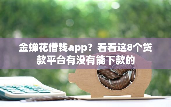 金蝉花借钱app？看看这8个贷款平台有没有能下款的