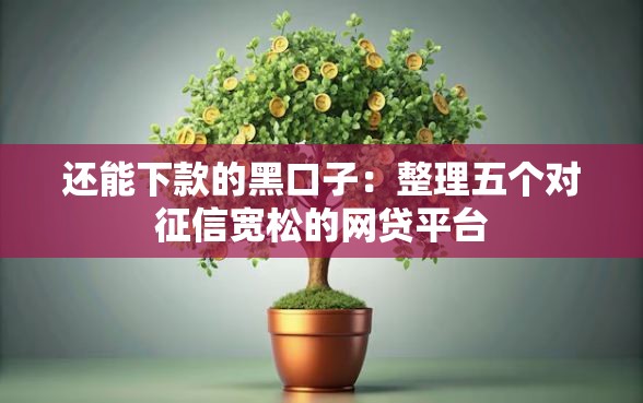 还能下款的黑口子：整理五个对征信宽松的网贷平台
