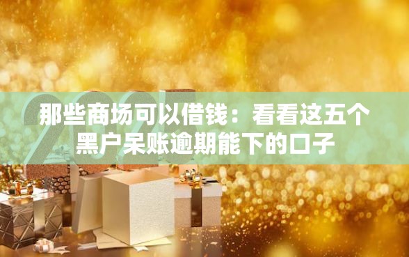 那些商场可以借钱：看看这五个黑户呆账逾期能下的口子