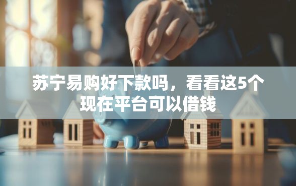 苏宁易购好下款吗，看看这5个现在平台可以借钱