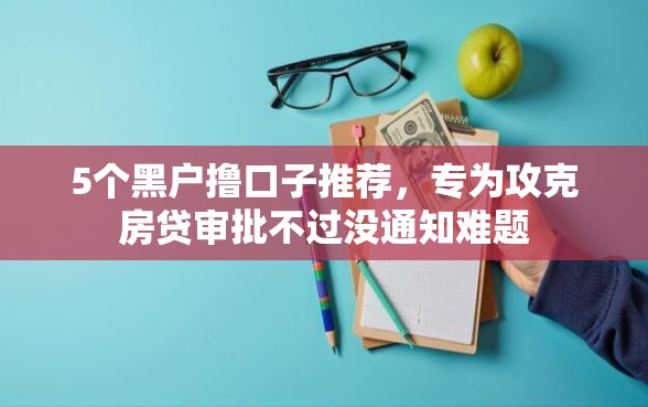 5个黑户撸口子推荐，专为攻克房贷审批不过没通知难题