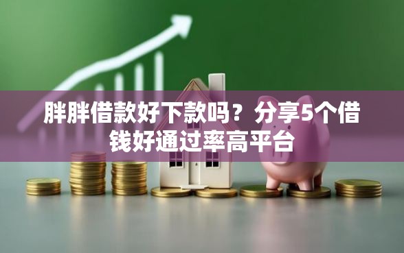 胖胖借款好下款吗？分享5个借钱好通过率高平台