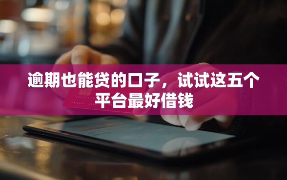逾期也能贷的口子，试试这五个平台最好借钱