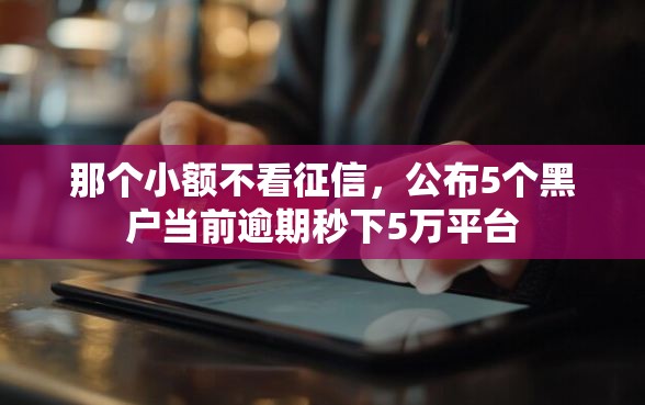 那个小额不看征信，公布5个黑户当前逾期秒下5万平台