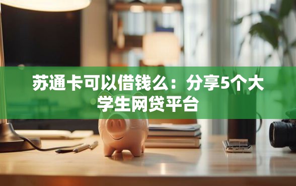苏通卡可以借钱么：分享5个大学生网贷平台