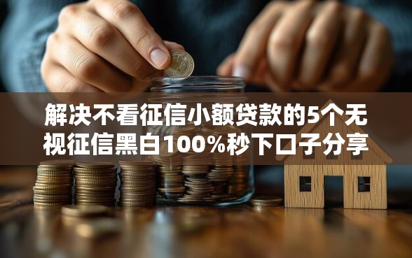解决不看征信小额贷款的5个无视征信黑白100%秒下口子分享