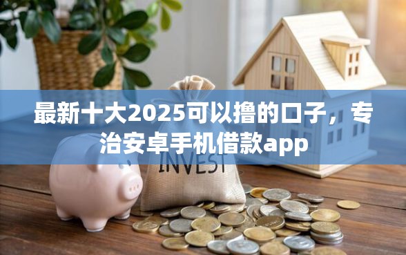 最新十大2025可以撸的口子，专治安卓手机借款app