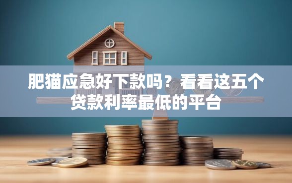 肥猫应急好下款吗？看看这五个贷款利率最低的平台