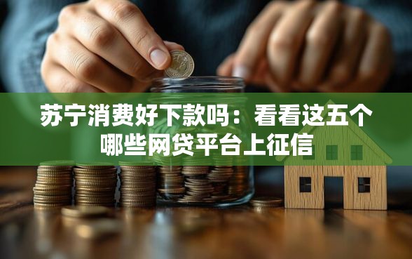 苏宁消费好下款吗：看看这五个哪些网贷平台上征信