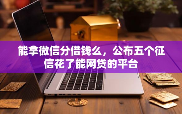 能拿微信分借钱么，公布五个征信花了能网贷的平台