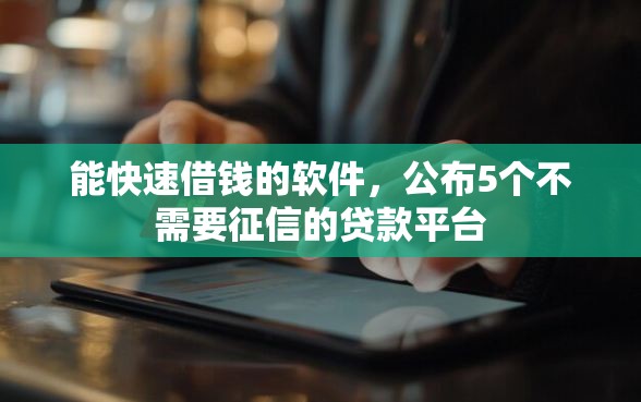 能快速借钱的软件，公布5个不需要征信的贷款平台