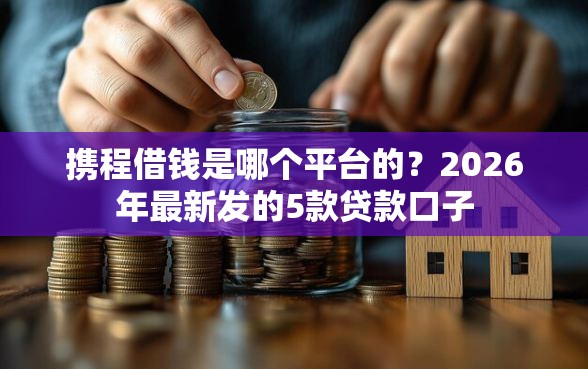 携程借钱是哪个平台的？2026年最新发的5款贷款口子