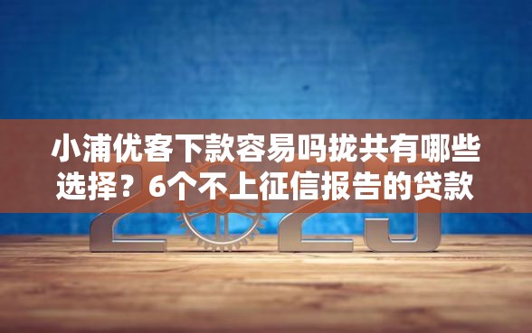 小浦优客下款容易吗拢共有哪些选择？6个不上征信报告的贷款口子详解