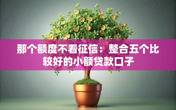 那个额度不看征信：整合五个比较好的小额贷款口子