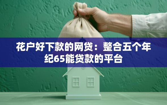 花户好下款的网贷：整合五个年纪65能贷款的平台