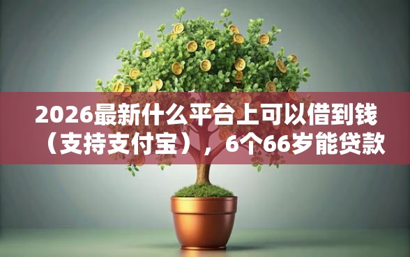 2026最新什么平台上可以借到钱（支持支付宝），6个66岁能贷款的平台无私分享