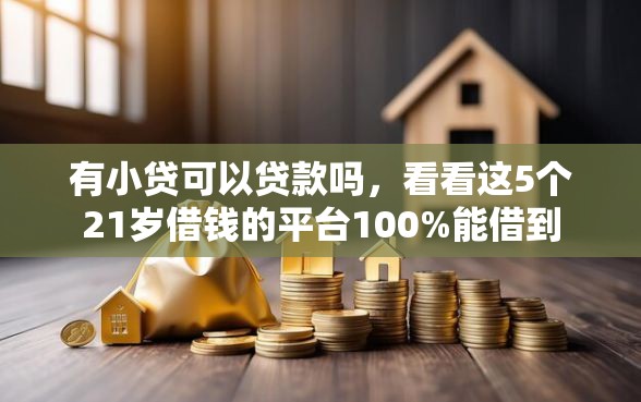 有小贷可以贷款吗，看看这5个21岁借钱的平台100%能借到