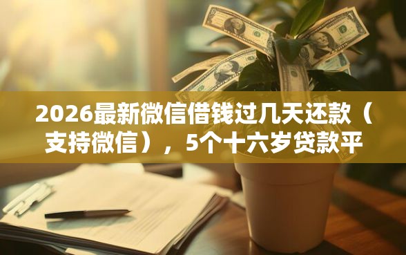 2026最新微信借钱过几天还款（支持微信），5个十六岁贷款平台无私分享