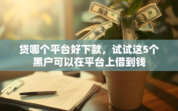 贷哪个平台好下款，试试这5个黑户可以在平台上借到钱