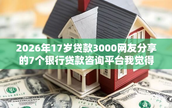 2026年17岁贷款3000网友分享的7个银行贷款咨询平台我觉得不错！