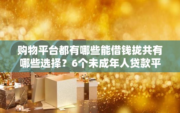 购物平台都有哪些能借钱拢共有哪些选择？6个未成年人贷款平台详解