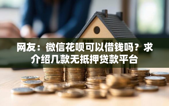 网友：微信花呗可以借钱吗？求介绍几款无抵押贷款平台