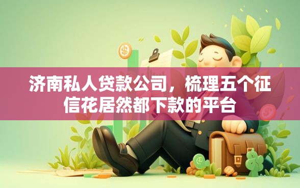 济南私人贷款公司，梳理五个征信花居然都下款的平台