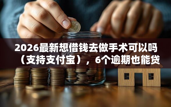 2026最新想借钱去做手术可以吗（支持支付宝），6个逾期也能贷款的平台无私分享