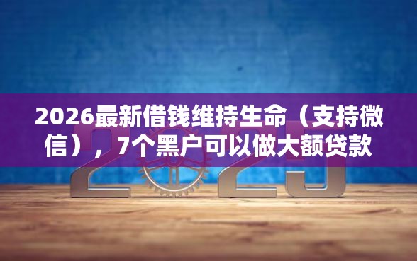 2026最新借钱维持生命（支持微信），7个黑户可以做大额贷款软件无私分享