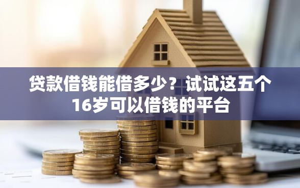 贷款借钱能借多少？试试这五个16岁可以借钱的平台