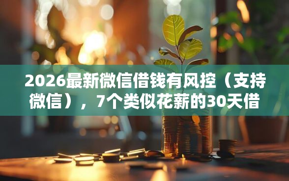 2026最新微信借钱有风控（支持微信），7个类似花薪的30天借款平台无私分享