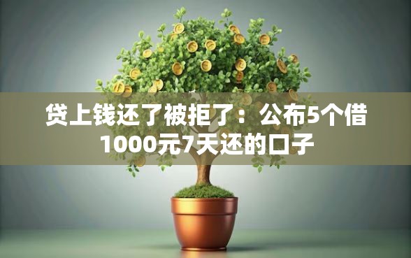 贷上钱还了被拒了：公布5个借1000元7天还的口子