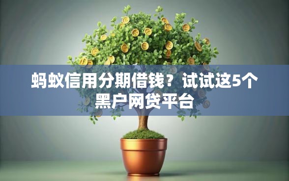 蚂蚁信用分期借钱？试试这5个黑户网贷平台