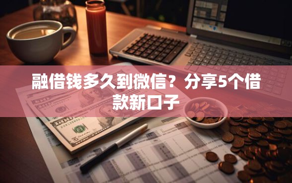 融借钱多久到微信？分享5个借款新口子