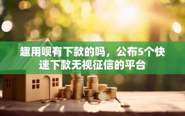 趣用呗有下款的吗，公布5个快速下款无视征信的平台