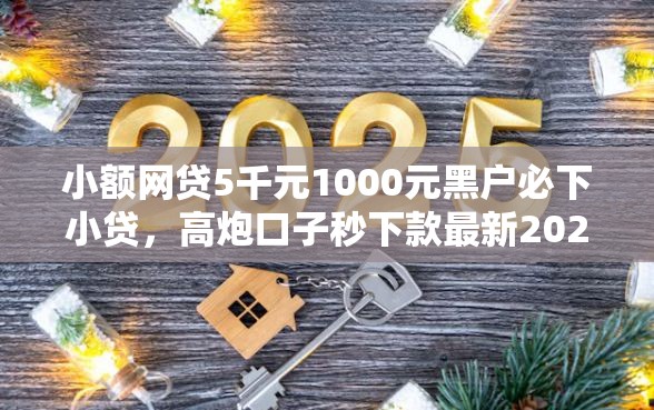 小额网贷5千元1000元黑户必下小贷，高炮口子秒下款最新2025的5个平台介绍