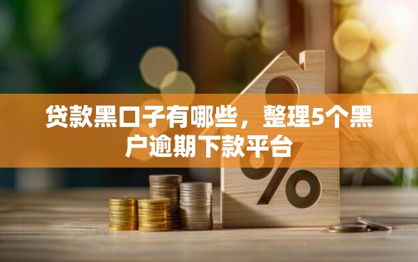 贷款黑口子有哪些,整理5个黑户逾期下款平台 贷款黑口子有哪些,整理5个黑户逾期下款平台