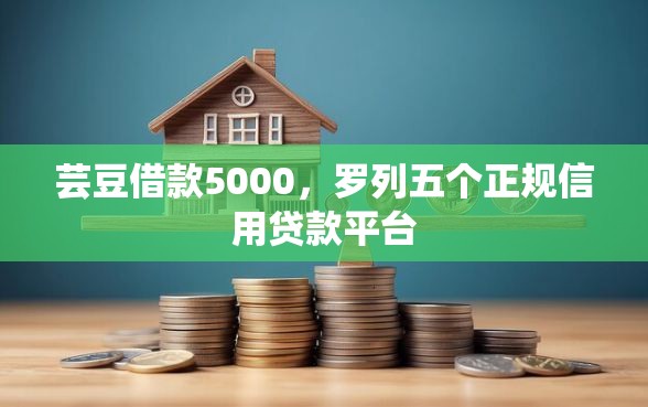 芸豆借款5000，罗列五个正规信用贷款平台