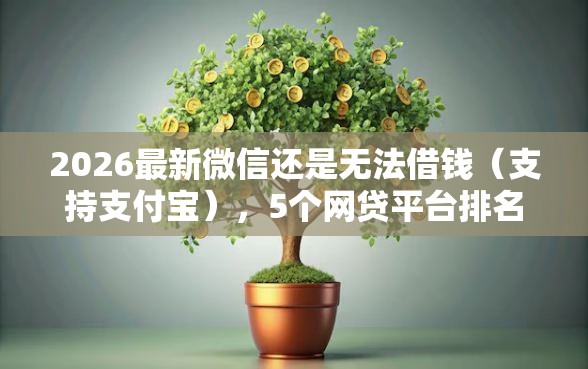 2026最新微信还是无法借钱（支持支付宝），5个网贷平台排名不分先后无私分享