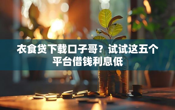 衣食贷下载口子哥？试试这五个平台借钱利息低