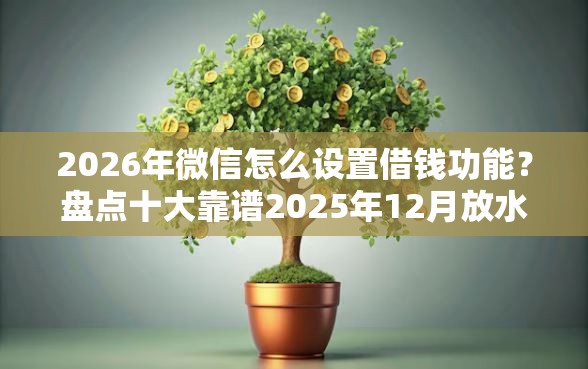 2026年微信怎么设置借钱功能？盘点十大靠谱2025年12月放水口子