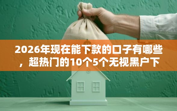 2026年现在能下款的口子有哪些，超热门的10个5个无视黑户下款口子推荐