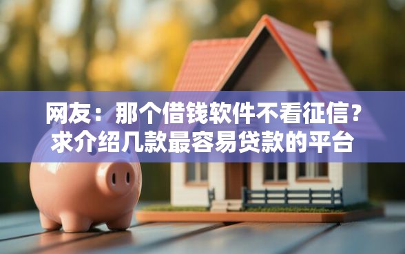 网友：那个借钱软件不看征信？求介绍几款最容易贷款的平台