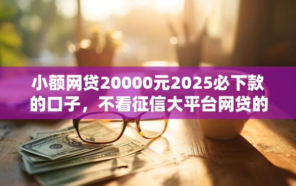 小额网贷20000元2025必下款的口子，不看征信大平台网贷的8个平台介绍