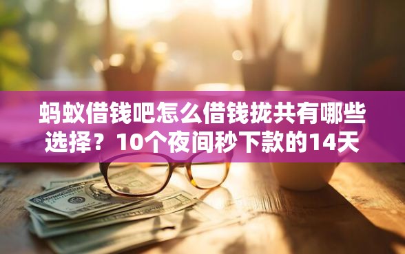 蚂蚁借钱吧怎么借钱拢共有哪些选择？10个夜间秒下款的14天口子详解