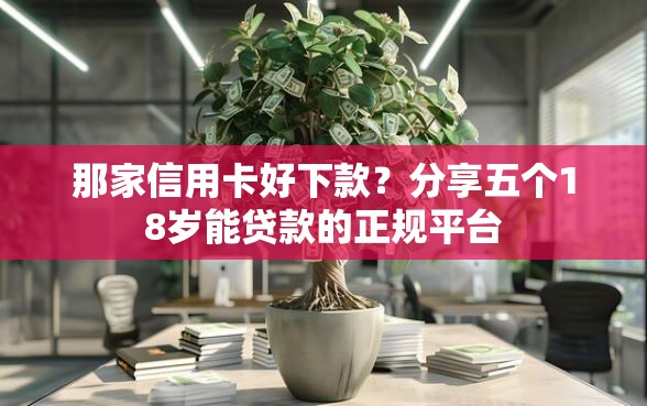 那家信用卡好下款？分享五个18岁能贷款的正规平台