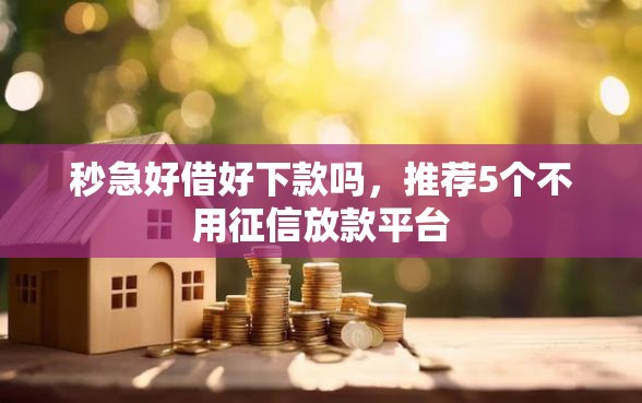 秒急好借好下款吗，推荐5个不用征信放款平台