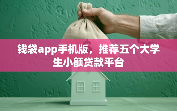 钱袋app手机版，推荐五个大学生小额贷款平台