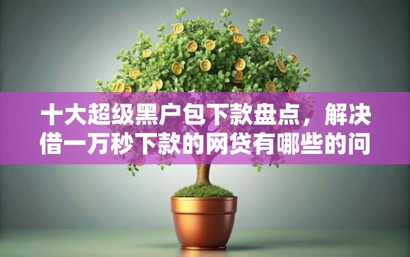 十大超级黑户包下款盘点，解决借一万秒下款的网贷有哪些的问题