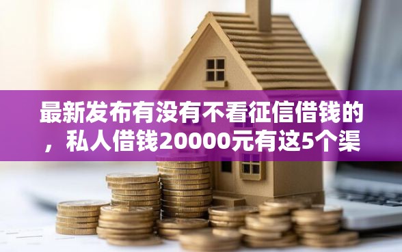 最新发布有没有不看征信借钱的，私人借钱20000元有这5个渠道